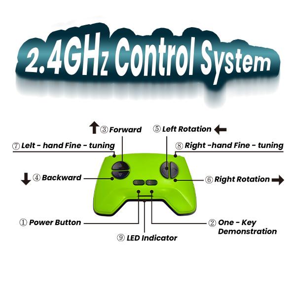 Wall Crawler Gecko with Remote Control Toy