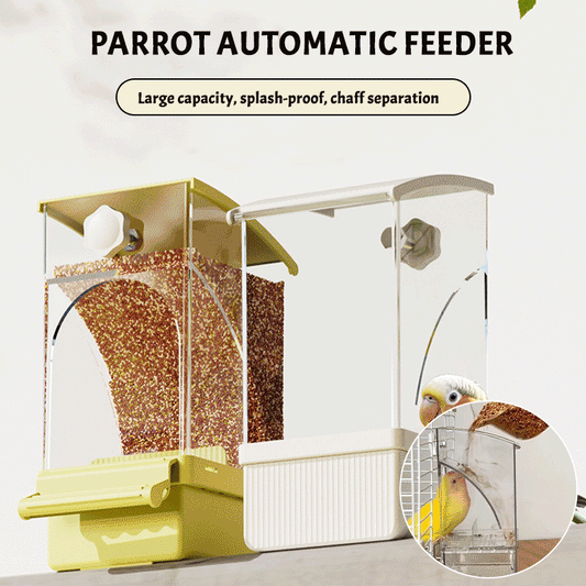 Auto-Dispensing Bird Feeder